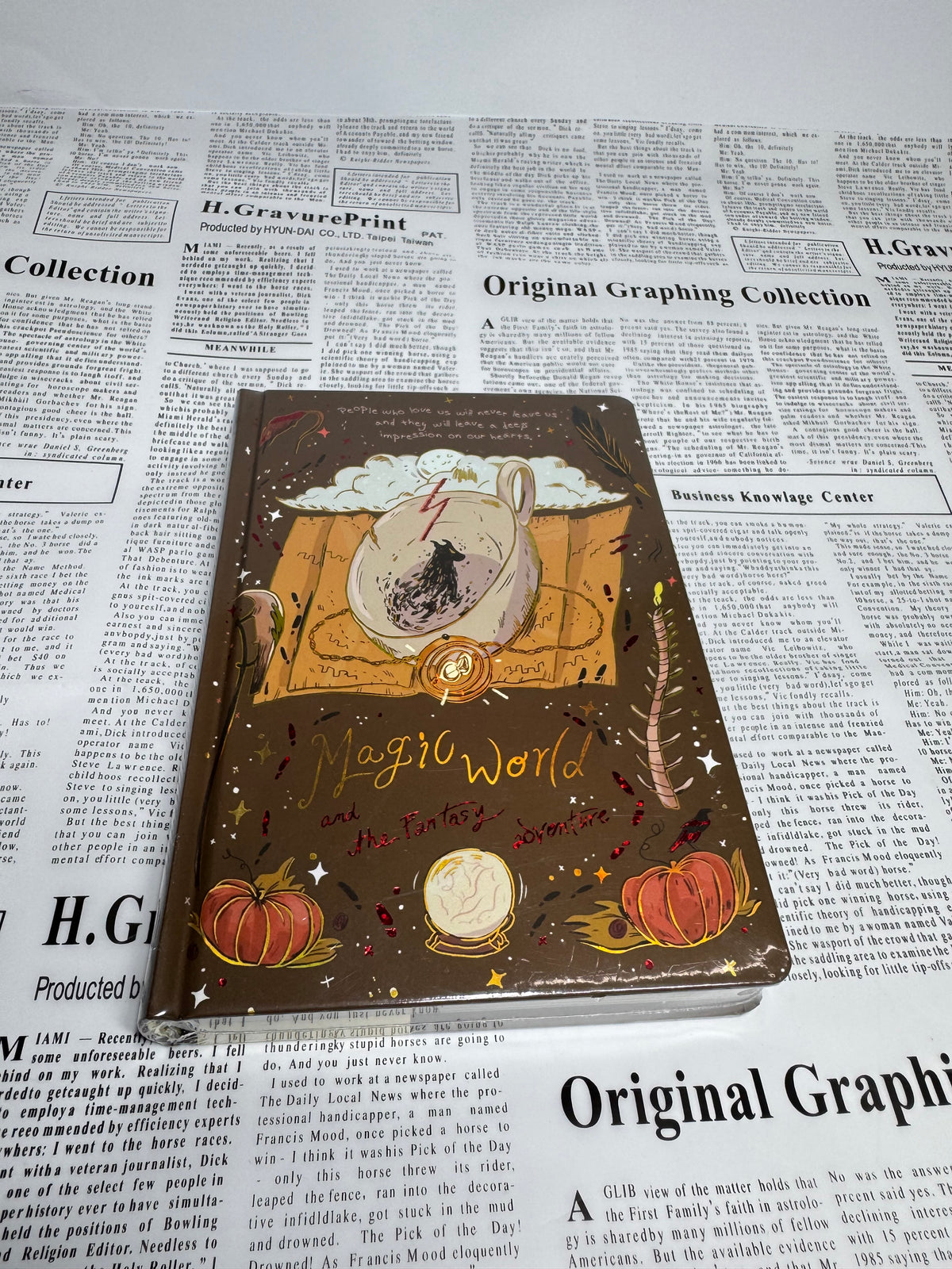 Wizard Magic Street Journal | Fantasy Adventure Notebook (Printed Pages)