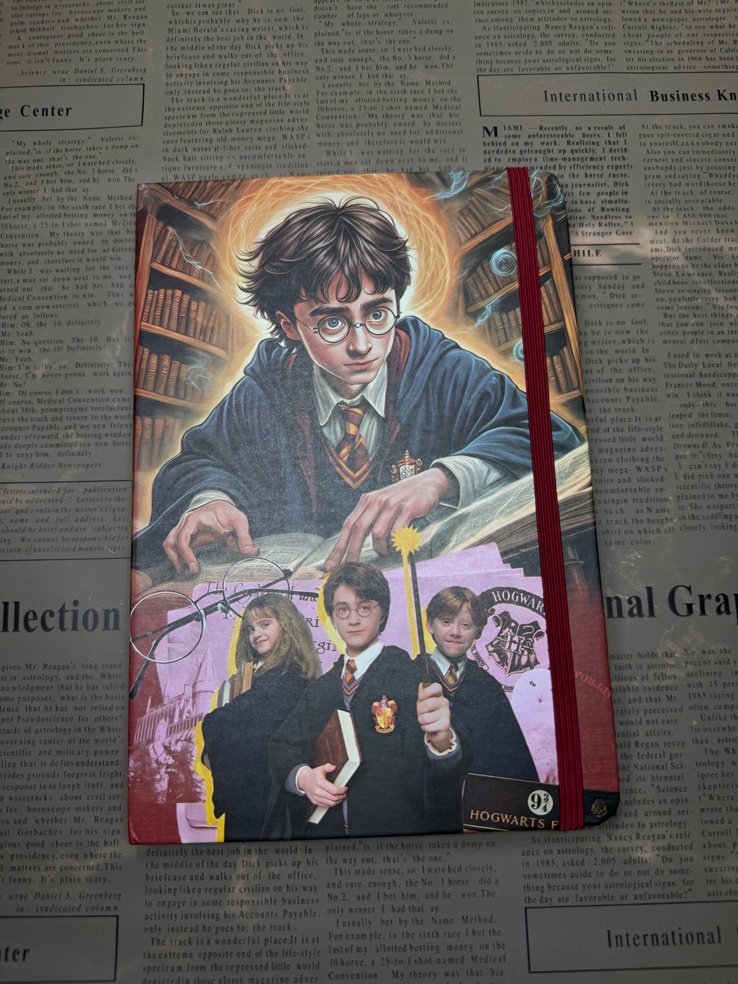 Harry Potter Diary|Journal