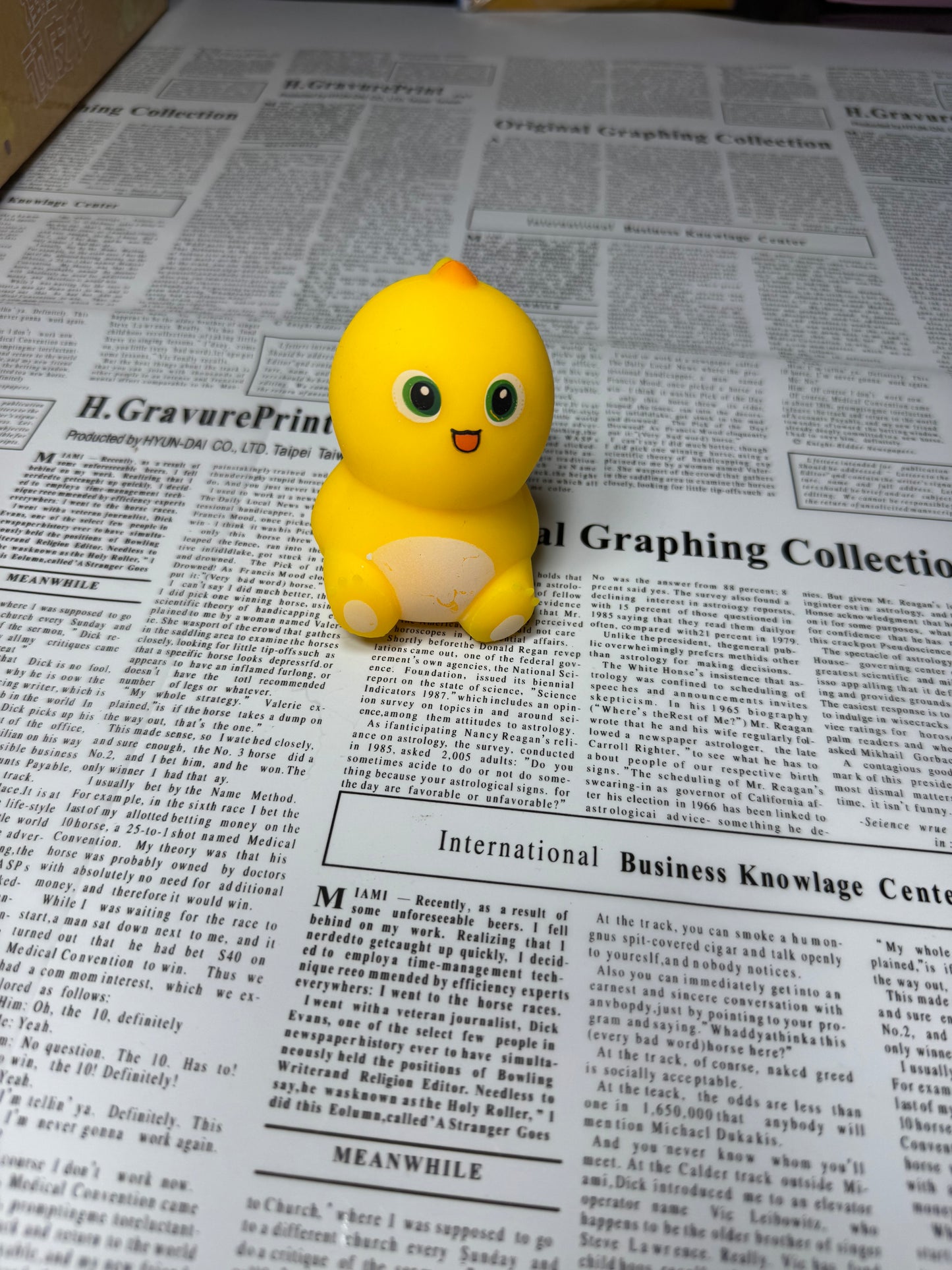 Chick Squishy