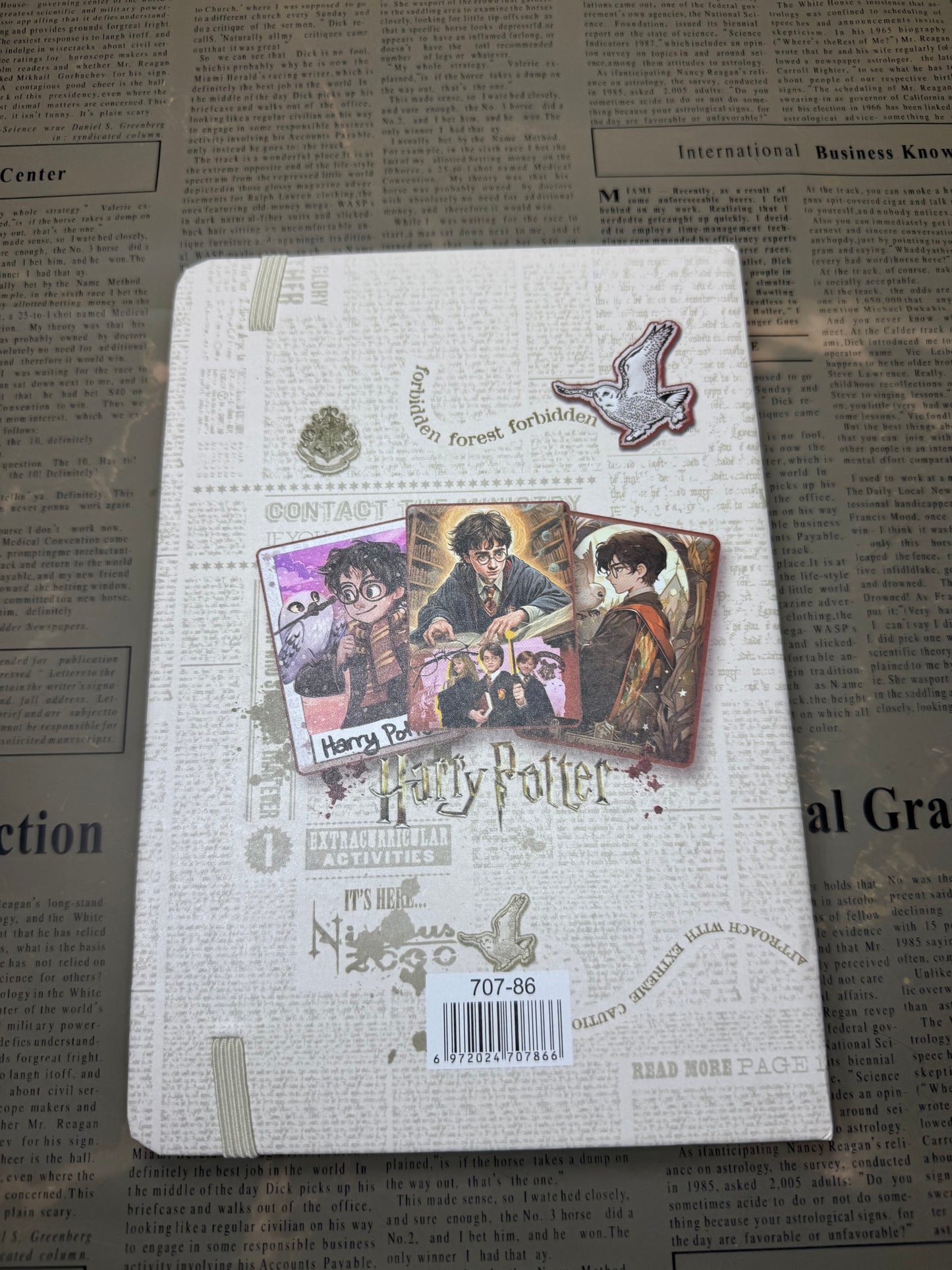 Harry Potter Diary|Journal