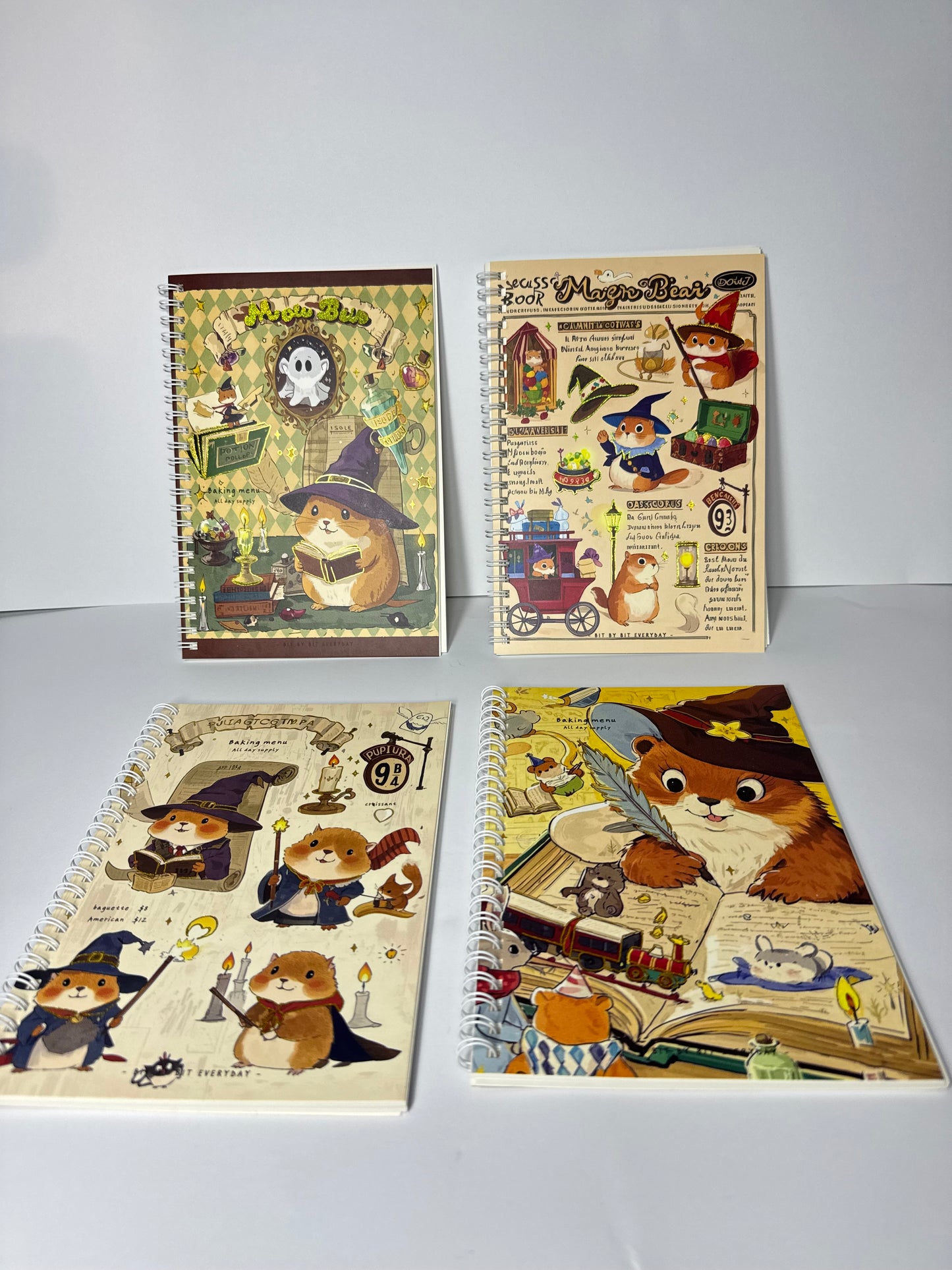 Harry Potter Theme Diary