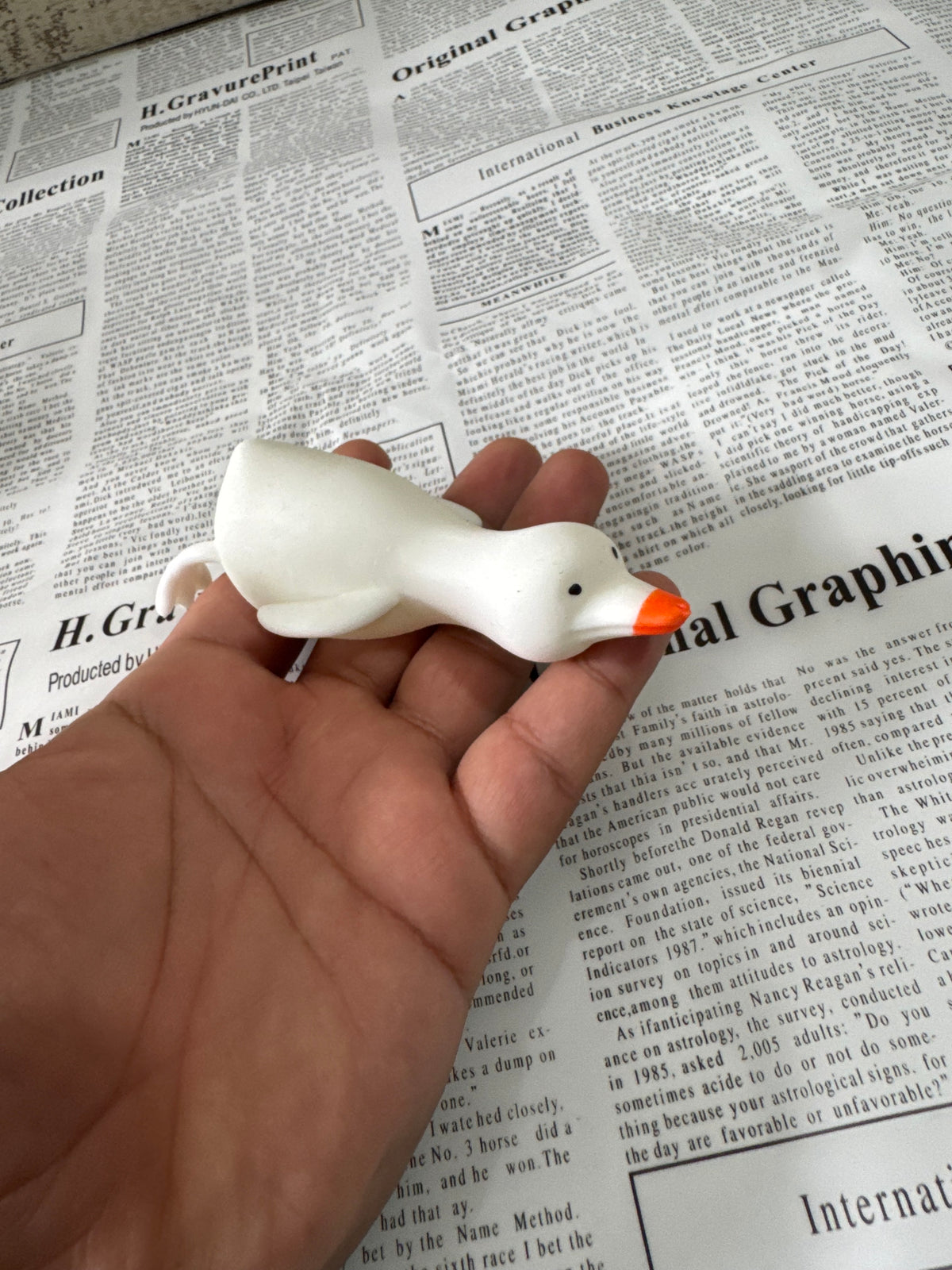 Duck Squishy