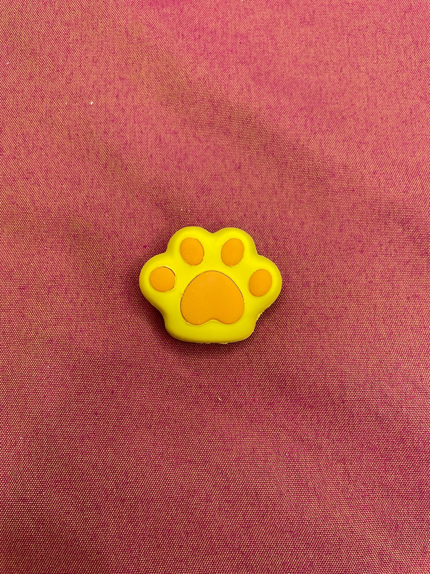 Paw 🐾 3D Erasers