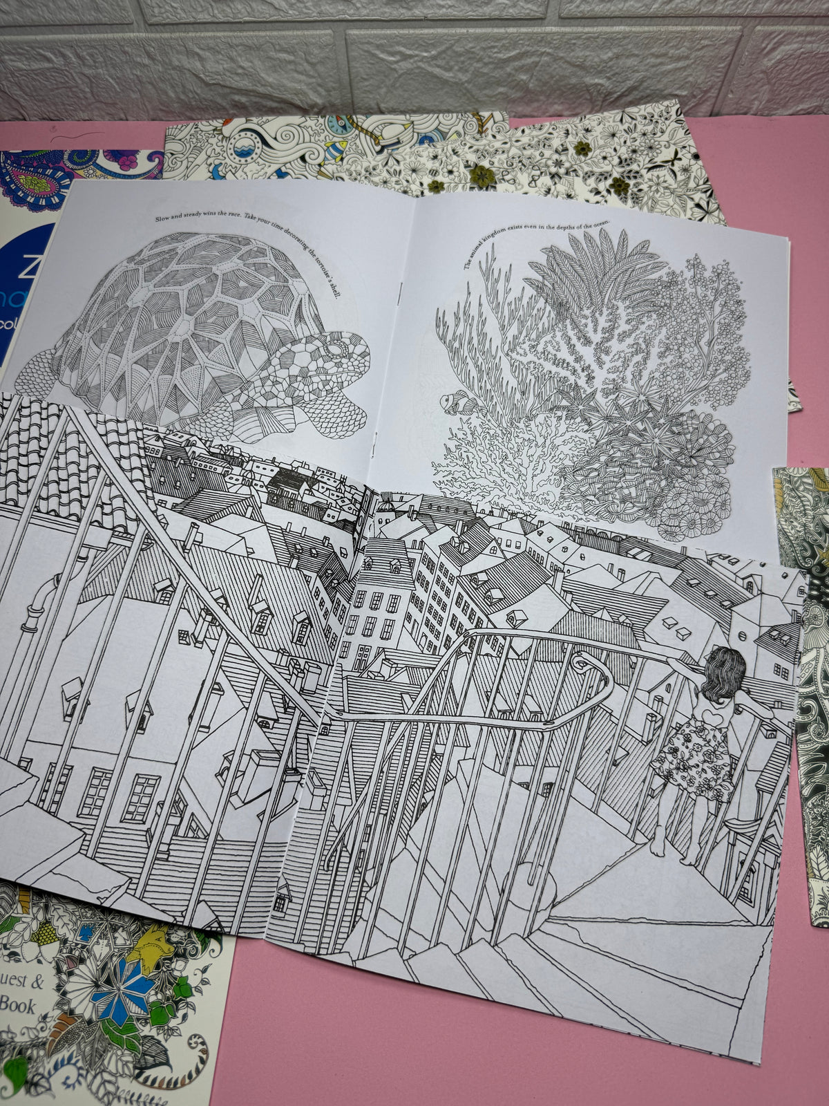 Adult Coloring books [Johanna Basford | Millie Marotta | Amily Shen | Zen Mandala | Time Travel]