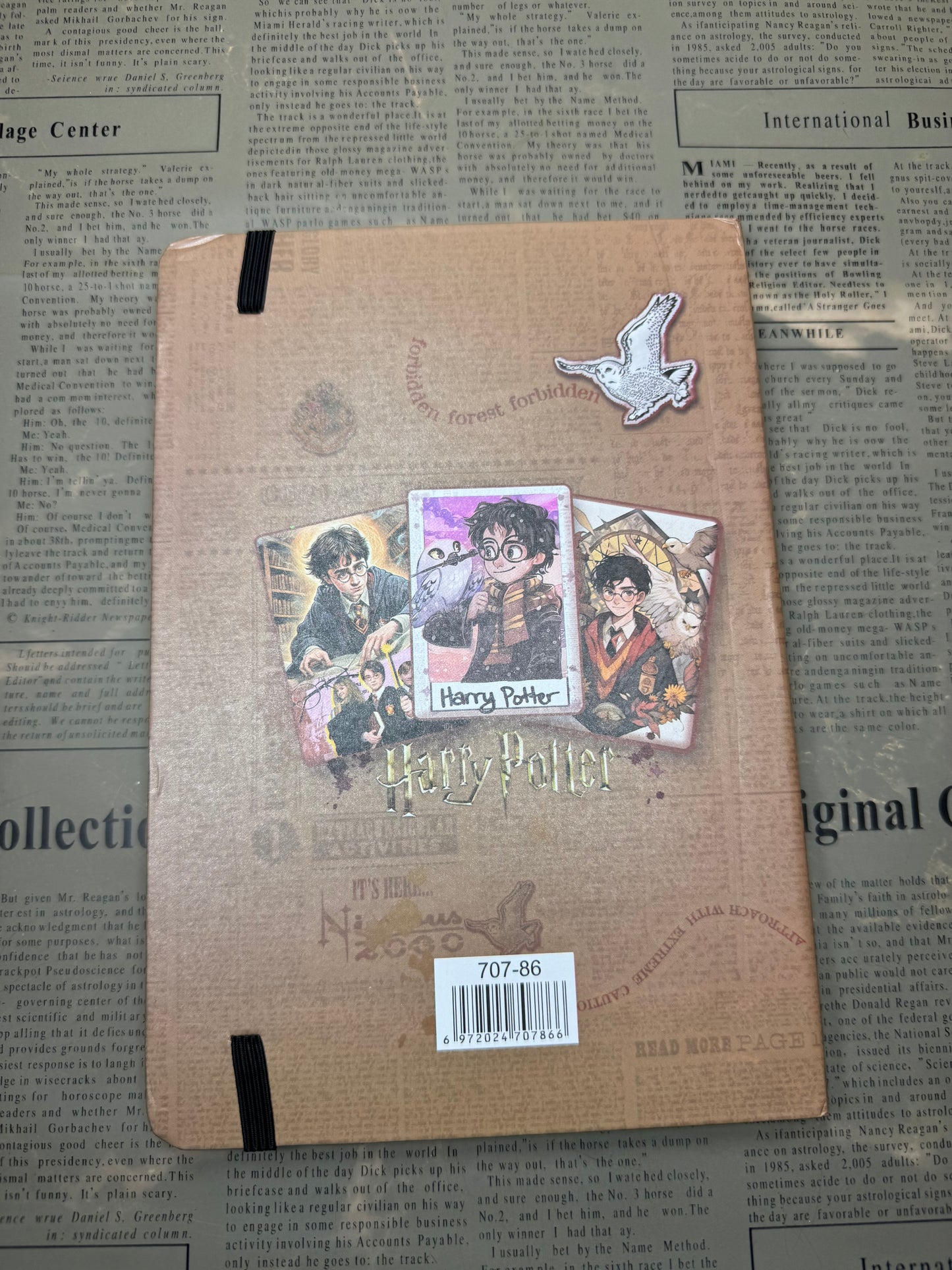 Harry Potter Diary|Journal