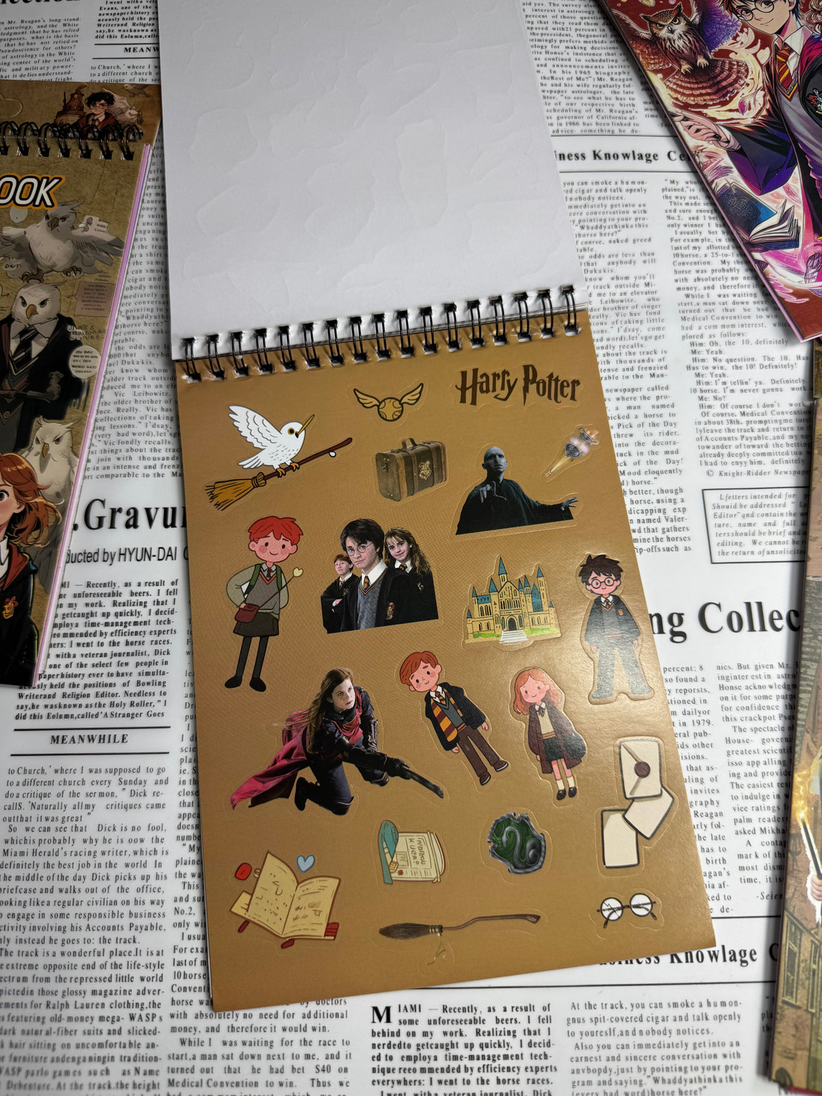 Harry Potter Sticker Book 🪄