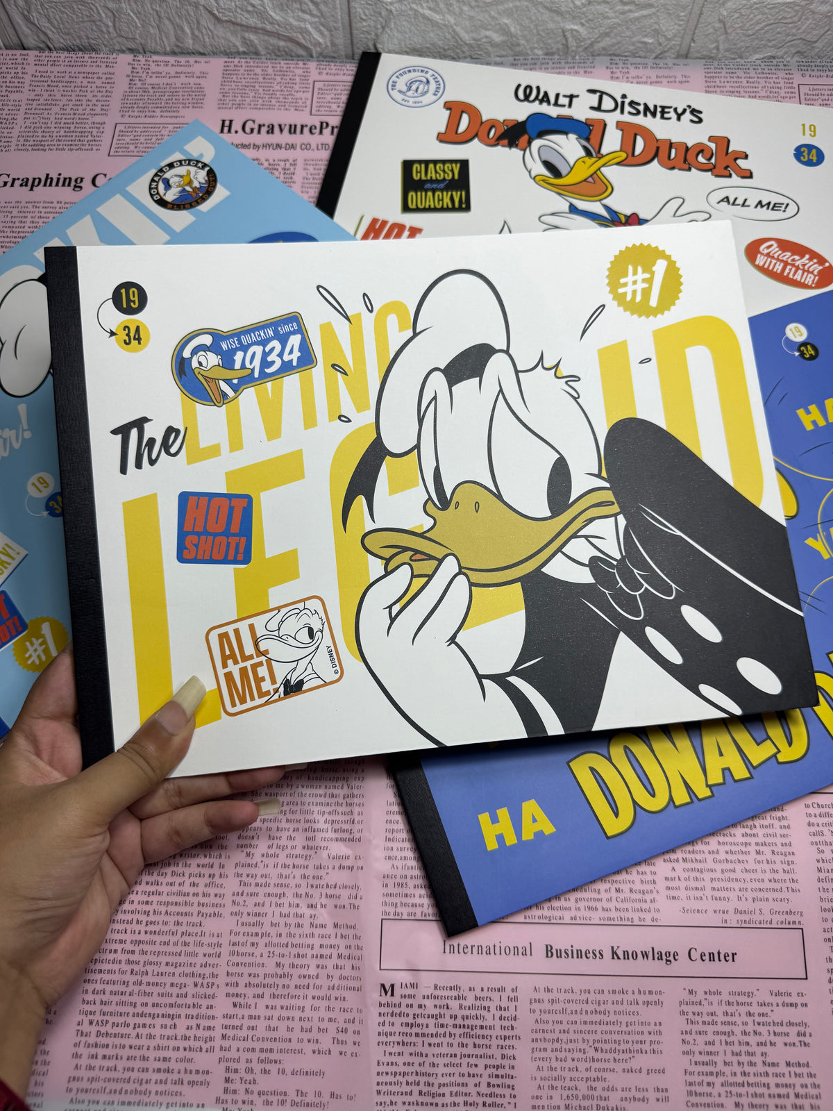 Donald Duck Sketch Book