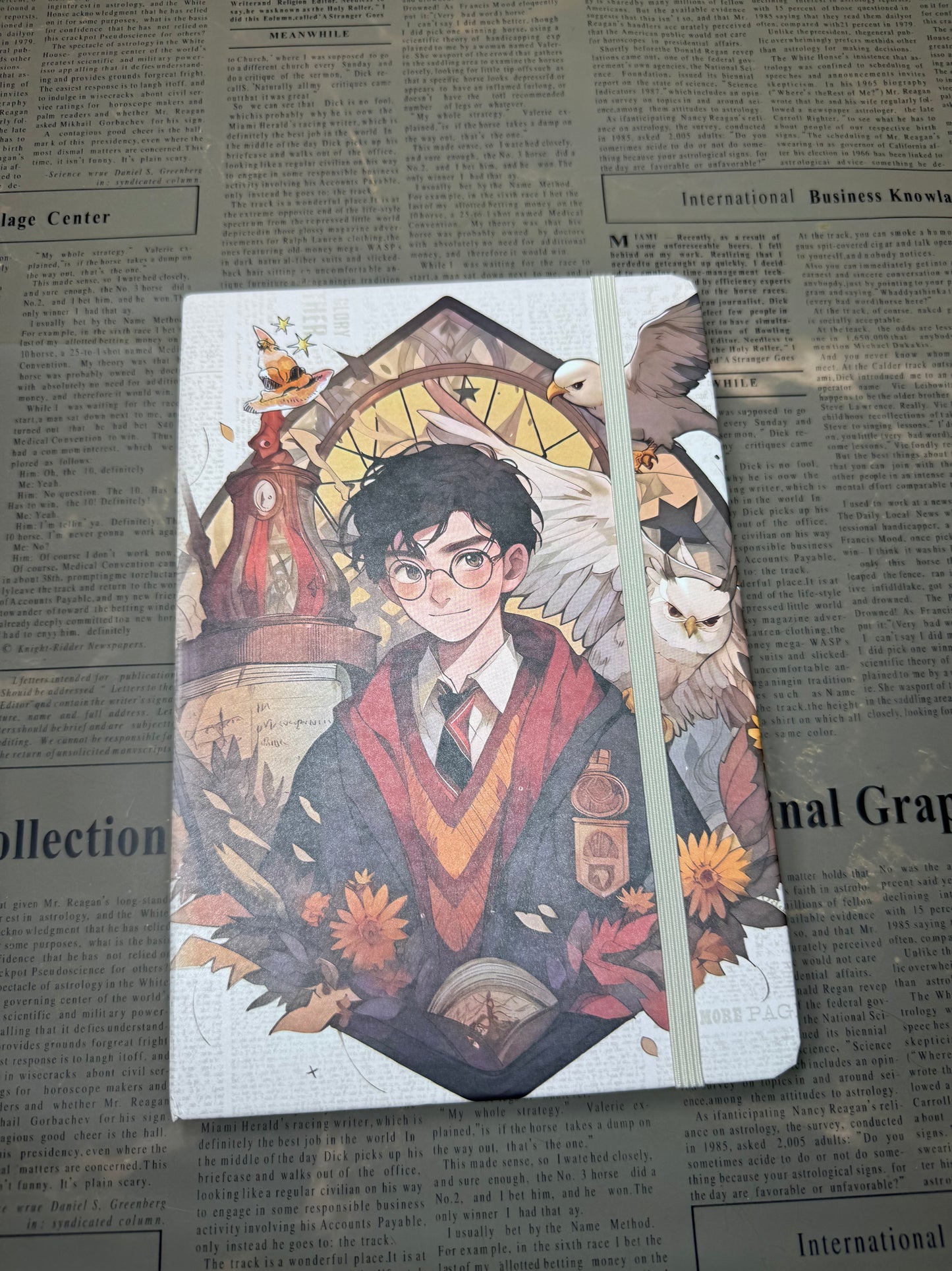 Harry Potter Diary|Journal