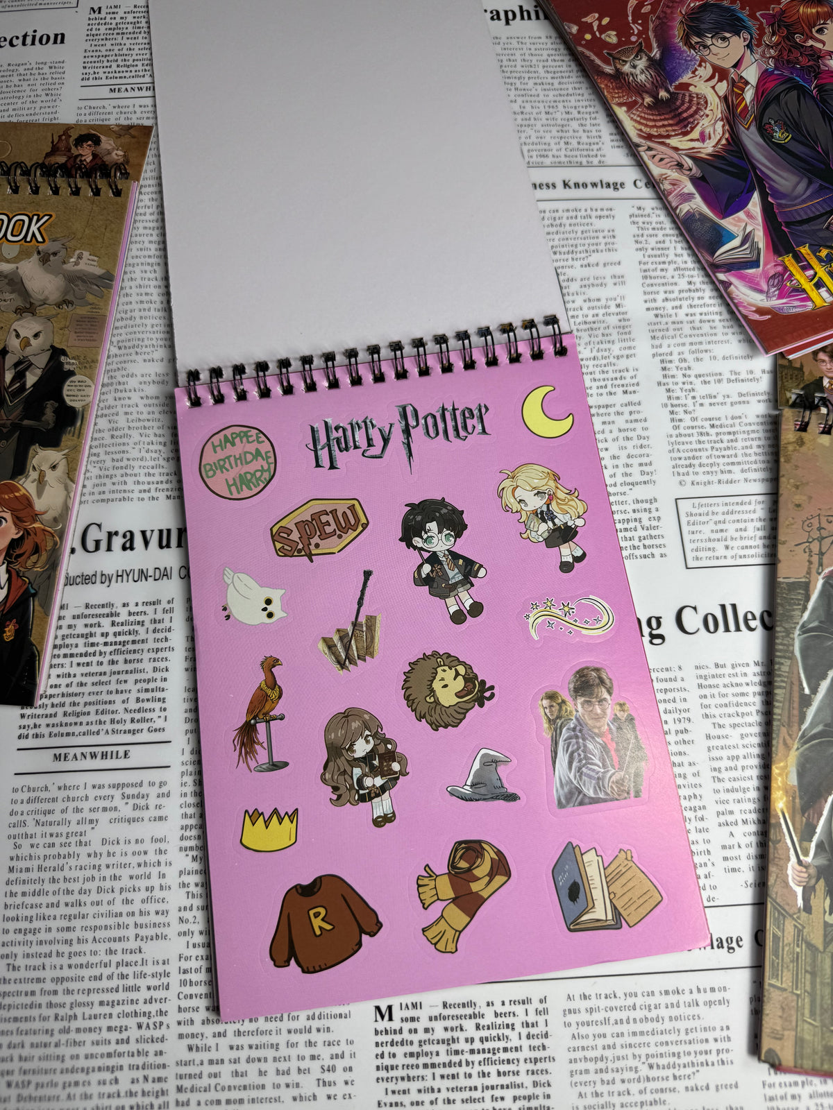Harry Potter Sticker Book 🪄