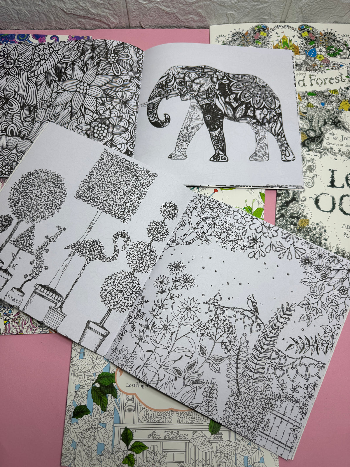 Adult Coloring books [Johanna Basford | Millie Marotta | Amily Shen | Zen Mandala | Time Travel]