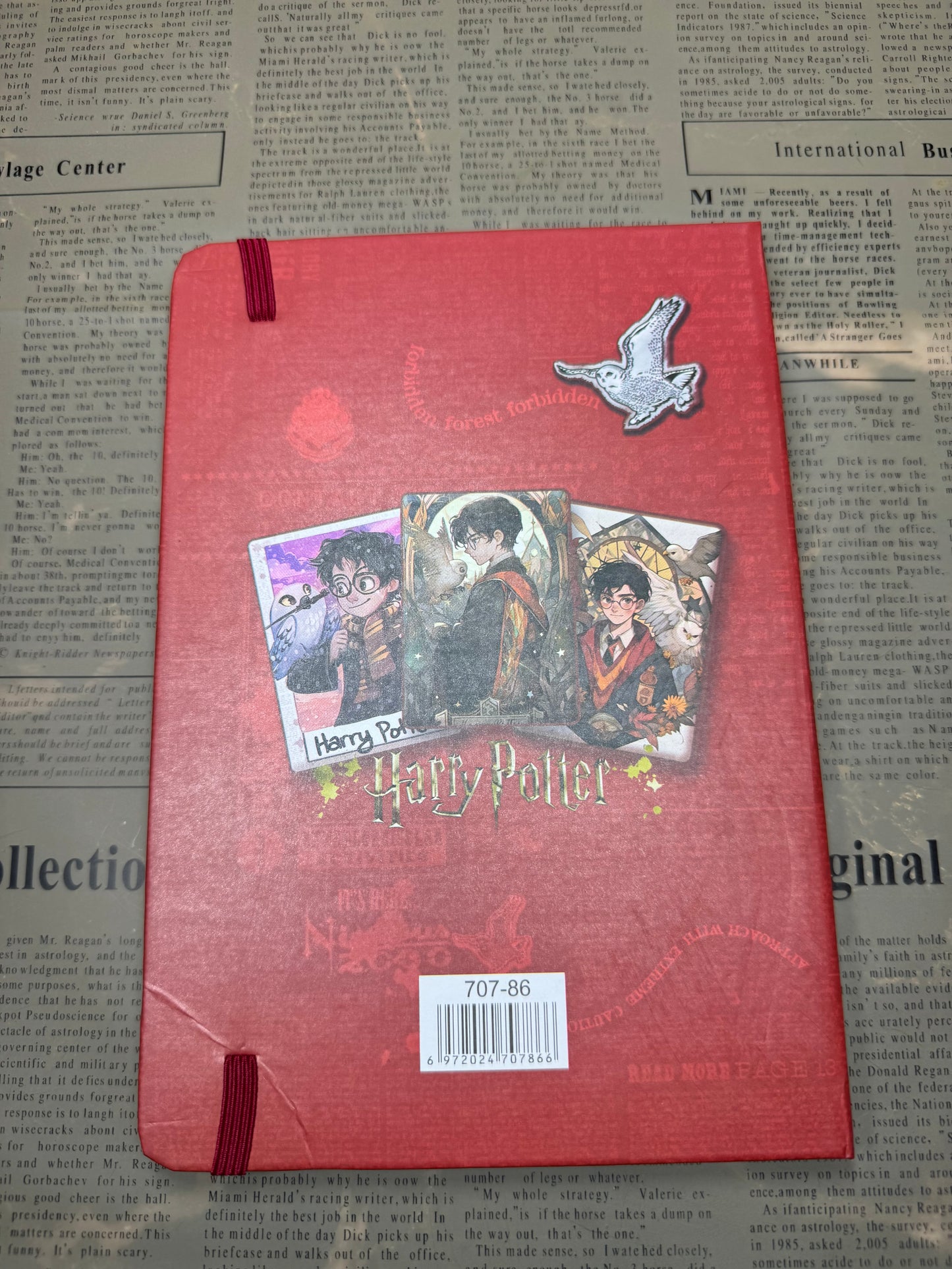 Harry Potter Diary|Journal