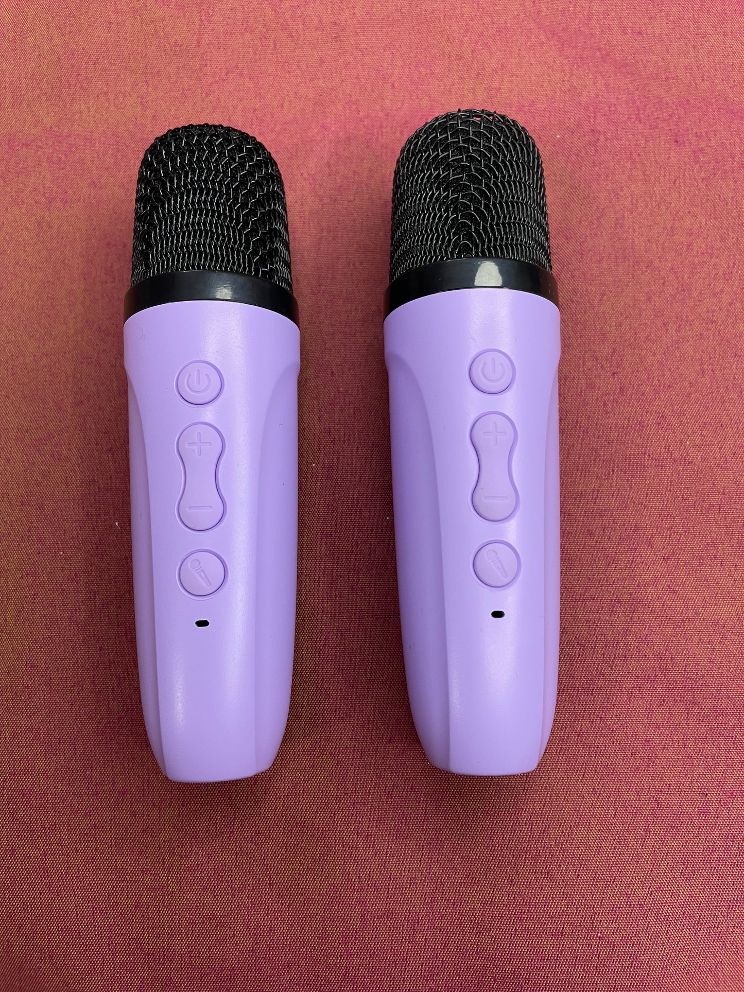 Wireless Karaoke Speaker with 2 Mics