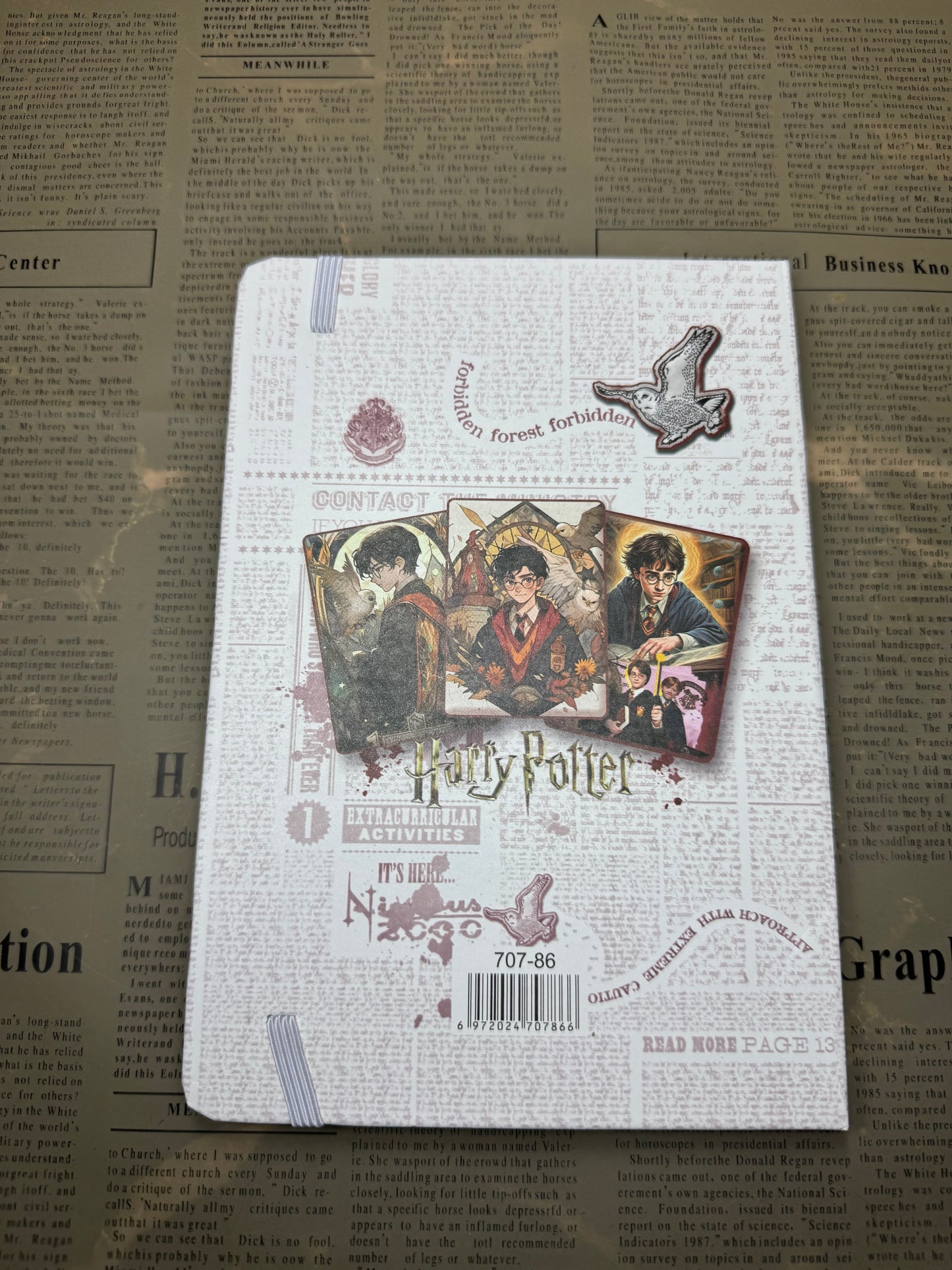 Harry Potter Diary|Journal