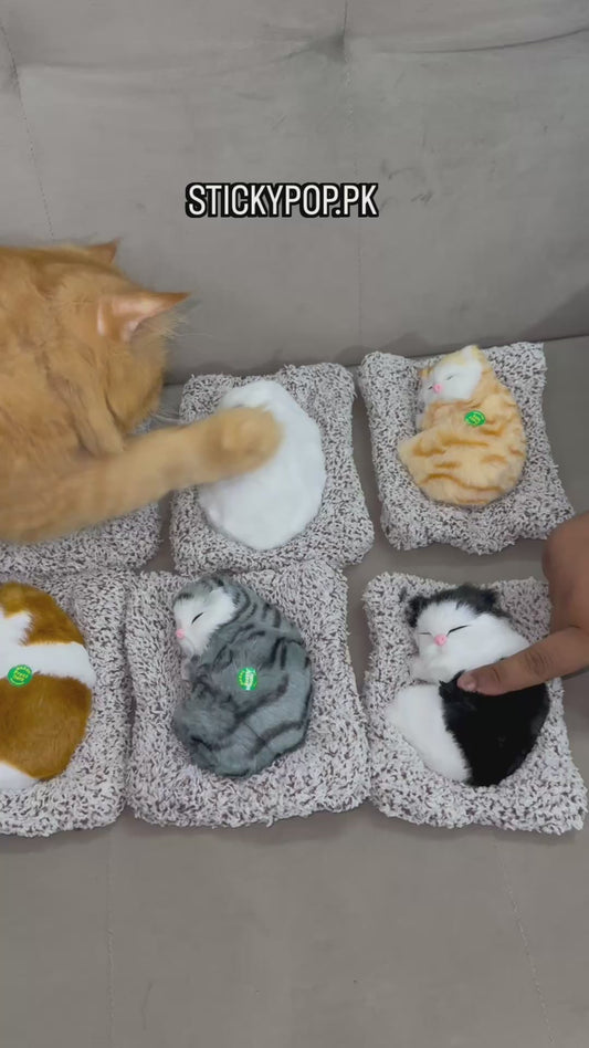 Cat Toy with Meow Sound